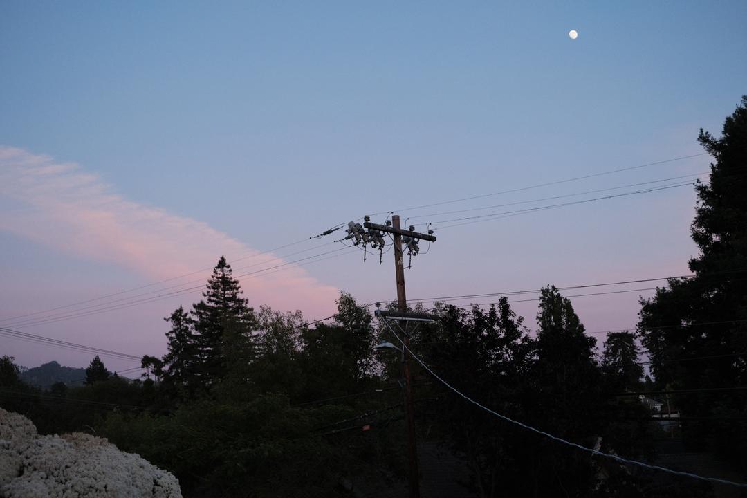 View of trees and telephone pole at dusk